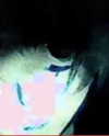 xxk1tty4nnaxx Altpins Profile Picture