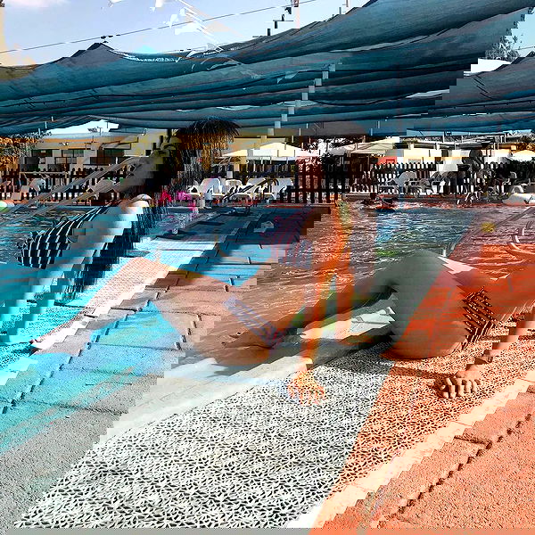 ziv.etach ziv.etach archive image