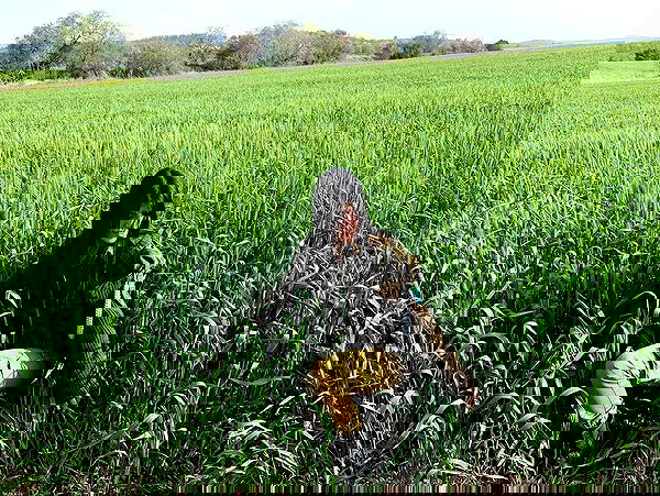 ziv.etach ziv.etach archive image