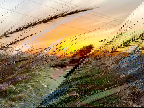 ziv.etach ziv.etach archive image