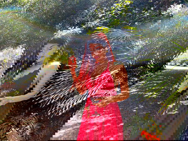 ziv.etach ziv.etach archive image