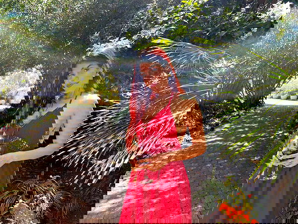 ziv.etach ziv.etach archive image