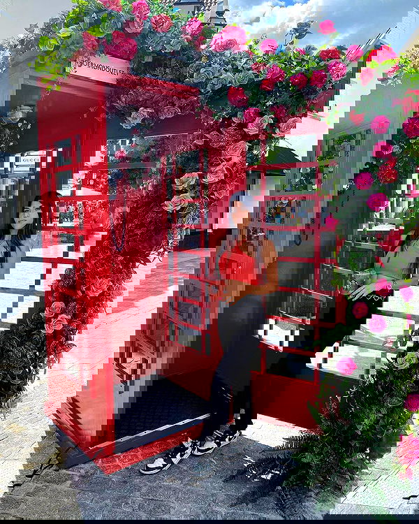 ziv.etach ziv.etach archive image