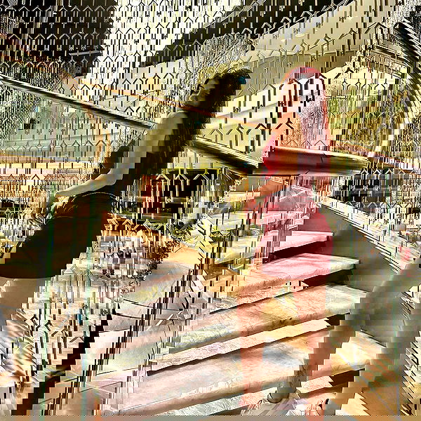 ziv.etach ziv.etach archive image