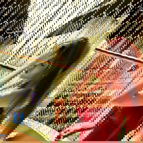 ziv.etach ziv.etach archive image