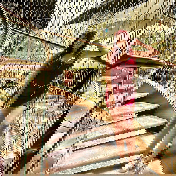 ziv.etach ziv.etach archive image