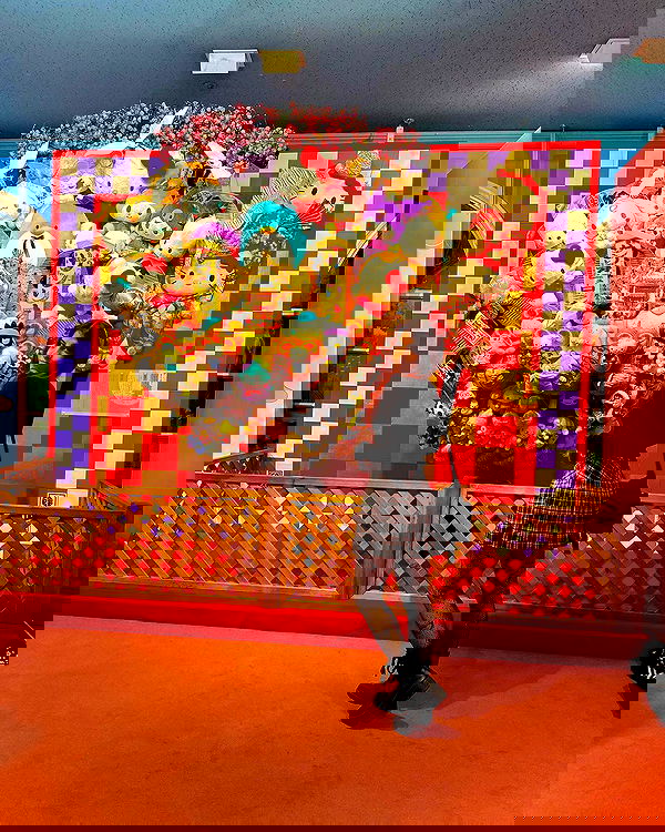 ziv.etach ziv.etach archive image