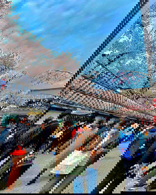 ziv.etach ziv.etach archive image