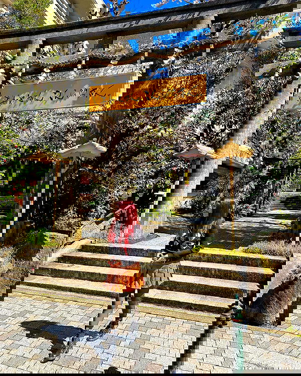 ziv.etach ziv.etach archive image