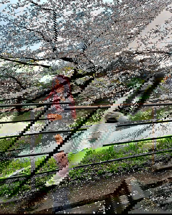 ziv.etach ziv.etach archive image