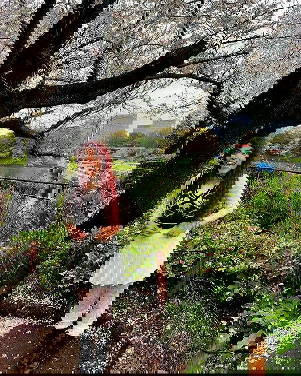 ziv.etach ziv.etach archive image