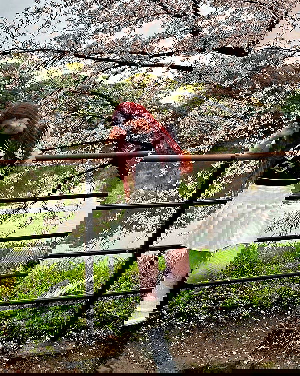 ziv.etach ziv.etach archive image