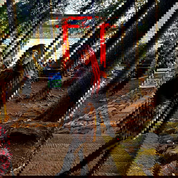 ziv.etach ziv.etach archive image