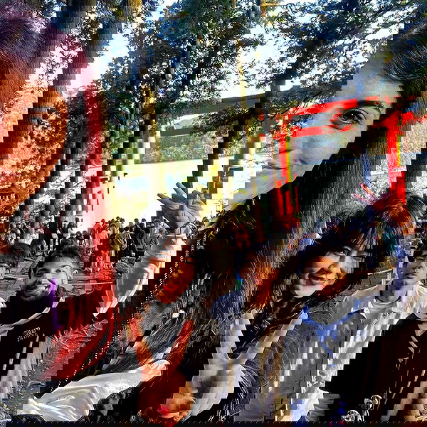 ziv.etach ziv.etach archive image