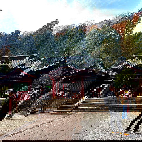 ziv.etach ziv.etach archive image