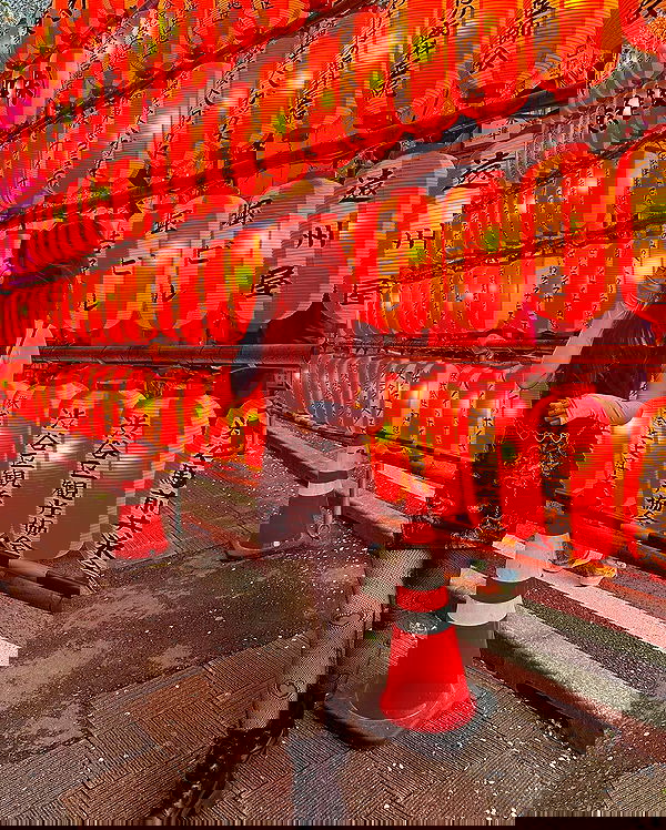 ziv.etach ziv.etach archive image