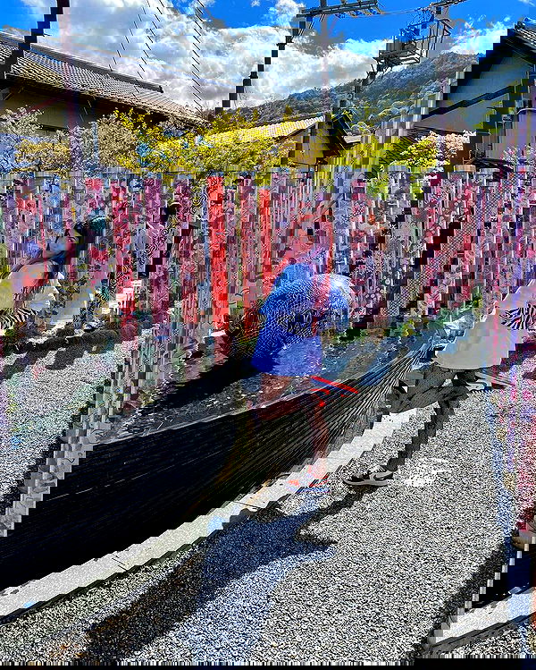 ziv.etach ziv.etach archive image