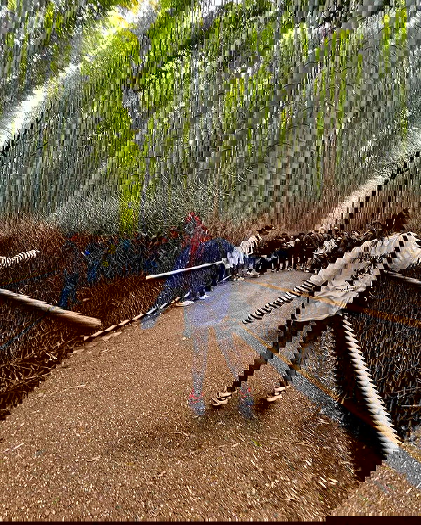 ziv.etach ziv.etach archive image