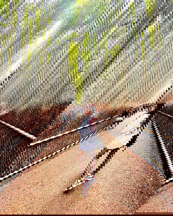 ziv.etach ziv.etach archive image