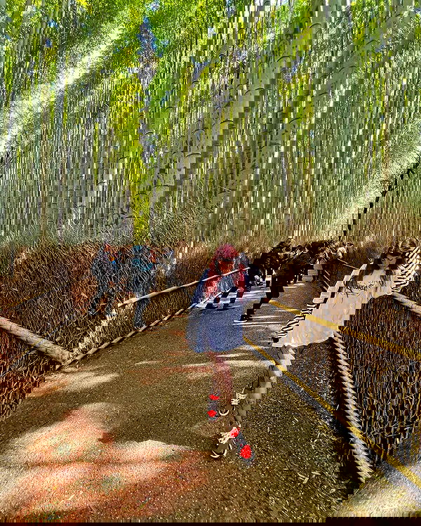 ziv.etach ziv.etach archive image