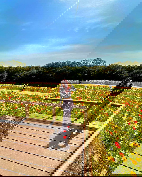 ziv.etach ziv.etach archive image