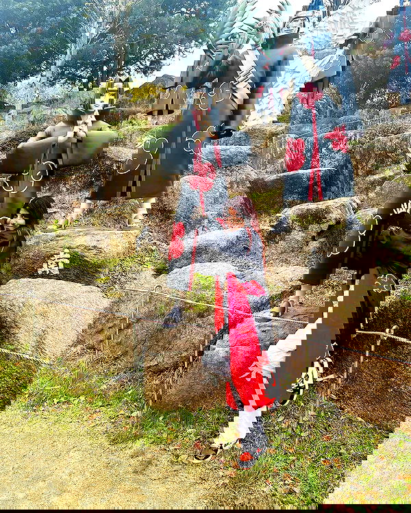 ziv.etach ziv.etach archive image