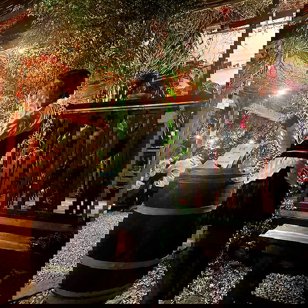 ziv.etach ziv.etach archive image