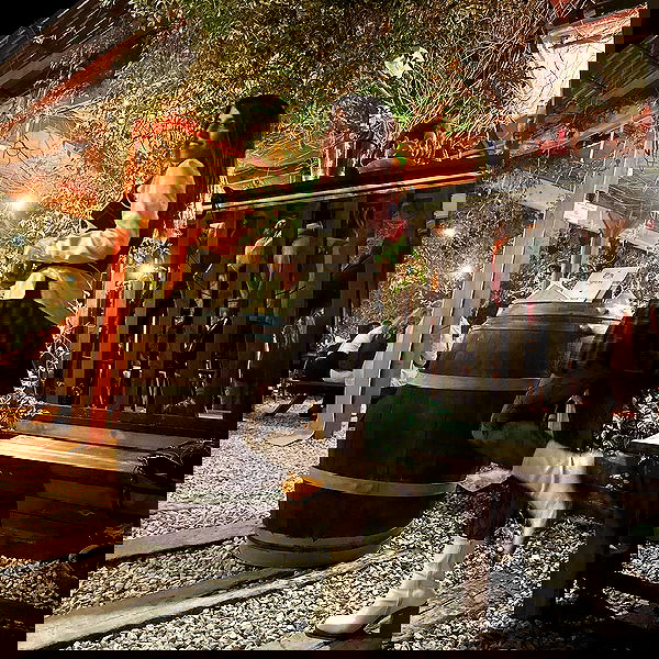 ziv.etach ziv.etach archive image