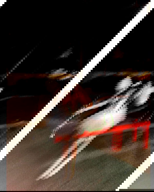 ziv.etach ziv.etach archive image