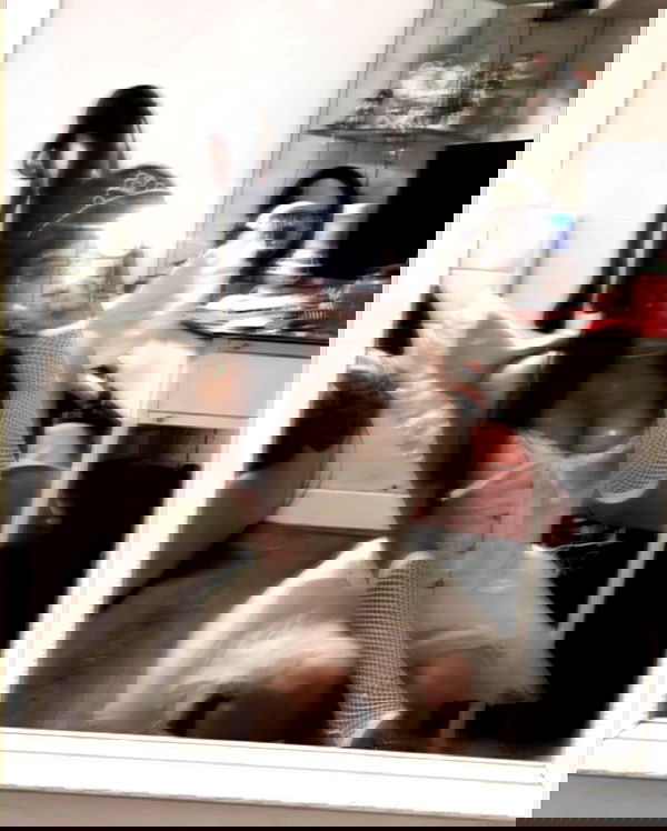 ziv.etach ziv.etach archive image