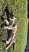 alex_barboy Altpins Profile Picture