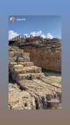 alexander._ph Altpins Profile Picture