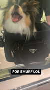 alyri_tv Altpins Profile Picture