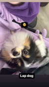 alyri_tv Altpins Profile Picture