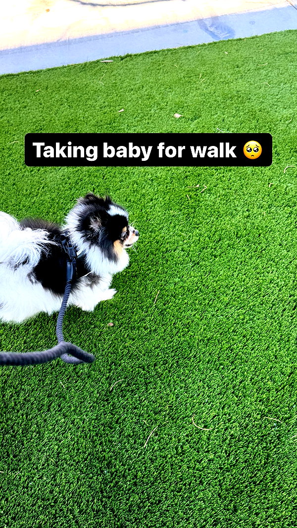 alyri_tv instagram image archive image