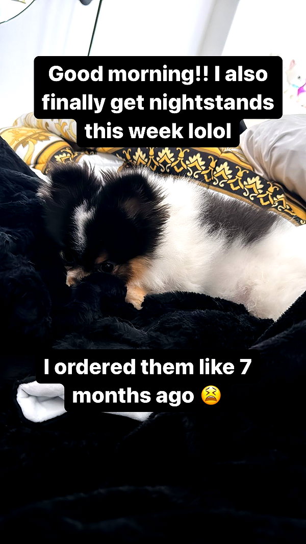 alyri_tv instagram image archive image