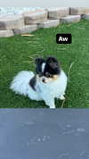alyri_tv Altpins Profile Picture
