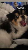 alyri_tv Altpins Profile Picture