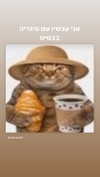 avitallllllll Altpins Profile Picture