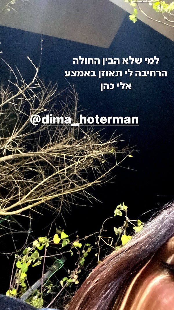 avitallllllll instagram image archive image