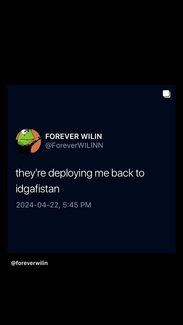 avitallllllll instagram image archive image