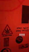 avitallllllll Altpins Profile Picture
