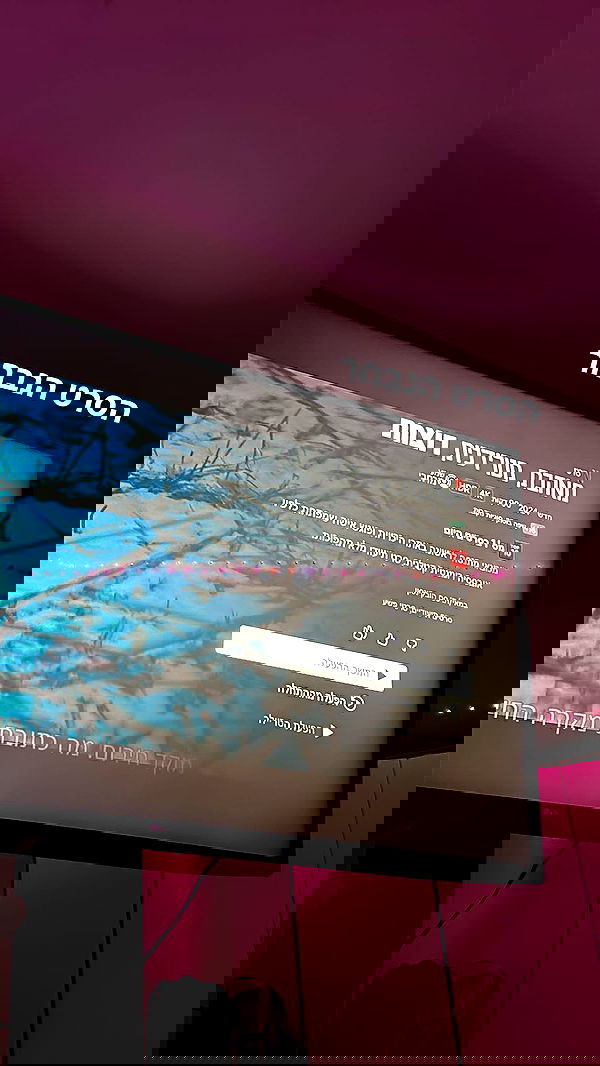 biton__adi biton__adi archive image