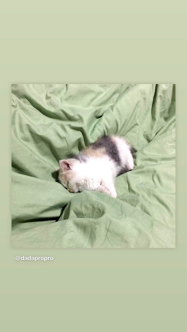 cyberkitty_____ instagram image archive image