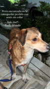 dianavgalvis Altpins Profile Picture