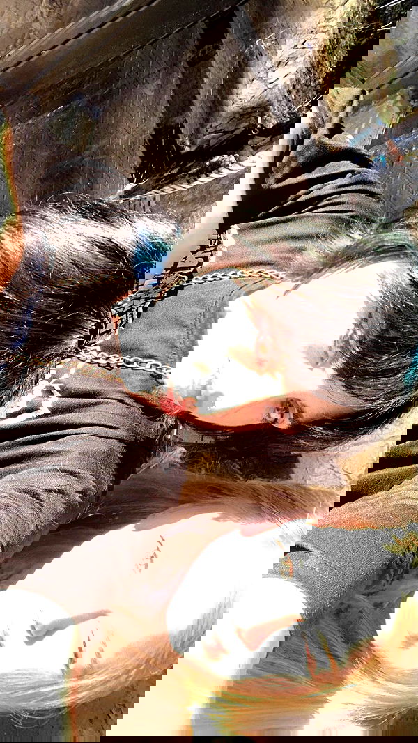 dustheadd dustheadd archive image