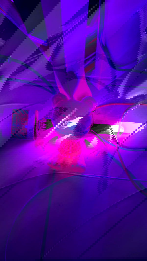 dustheadd dustheadd archive image