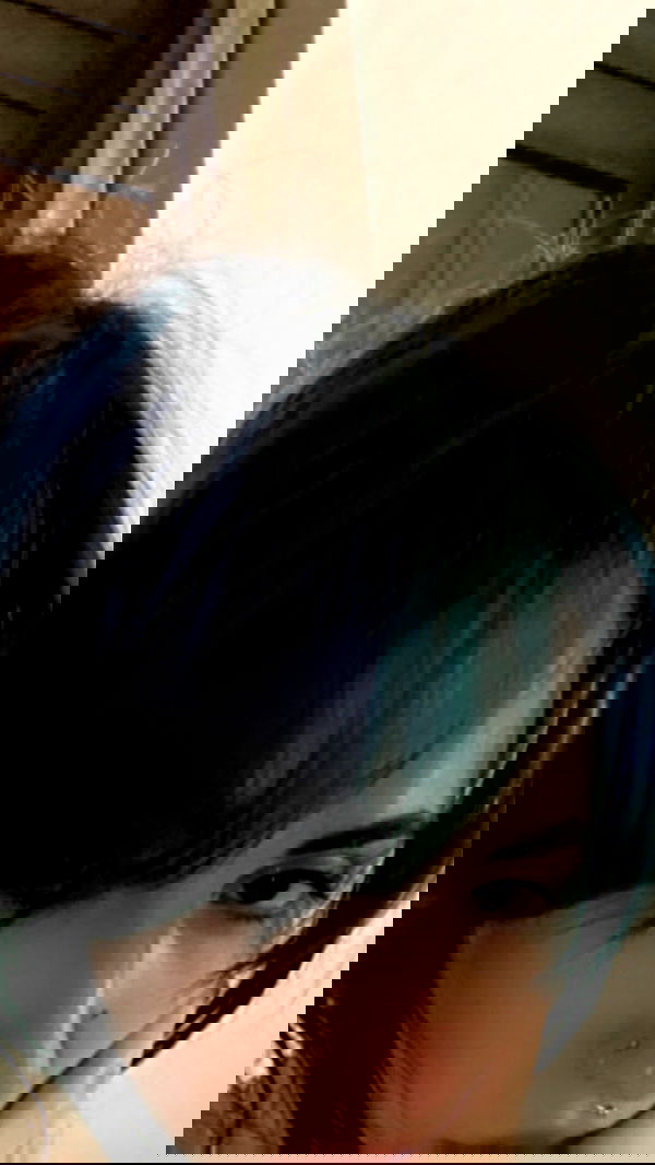 dustheadd dustheadd archive image