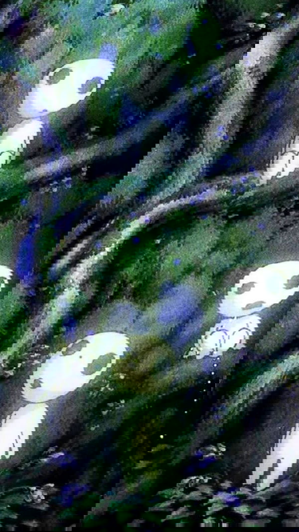 dustheadd dustheadd archive image