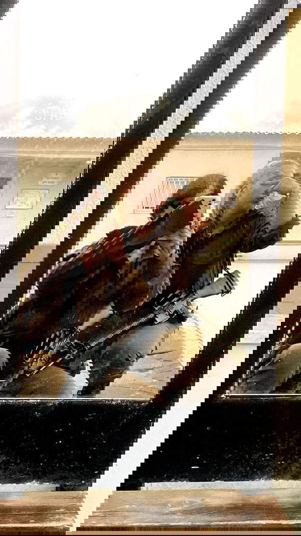 dustheadd dustheadd archive image